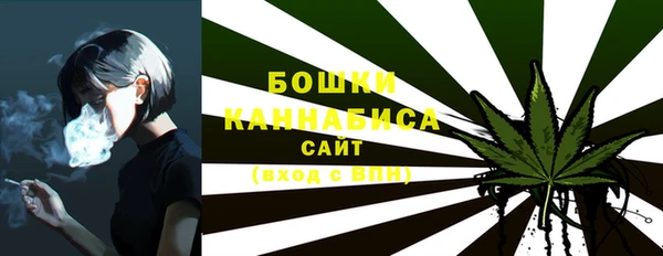 spice Горнозаводск