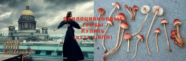 a pvp Вязьма