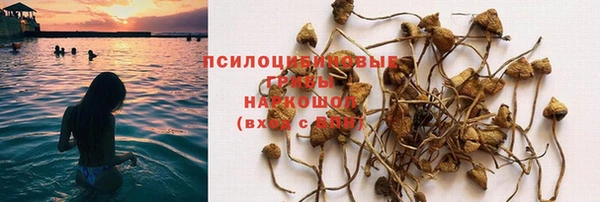 a pvp Вязьма