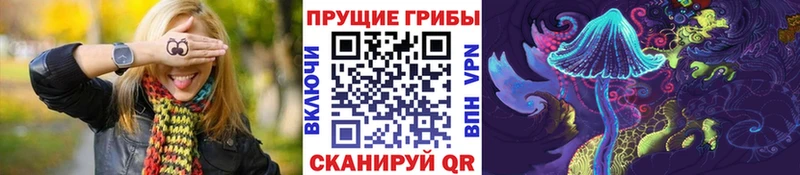 Псилоцибиновые грибы GOLDEN TEACHER  Купить где  Кириллов 