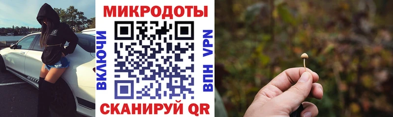 Псилоцибиновые грибы прущие грибы Кириллов